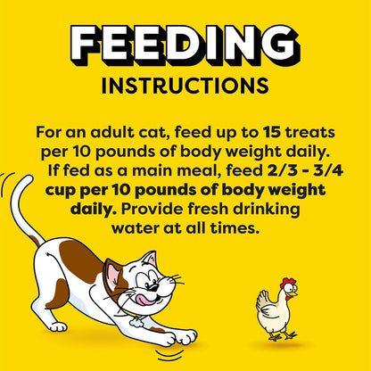Cat Treats Indoor Care, Classic Crunchy and Soft Cat Treats, Tasty Chicken Flavor, 4.9 Oz. Pouch (Pack of 10)