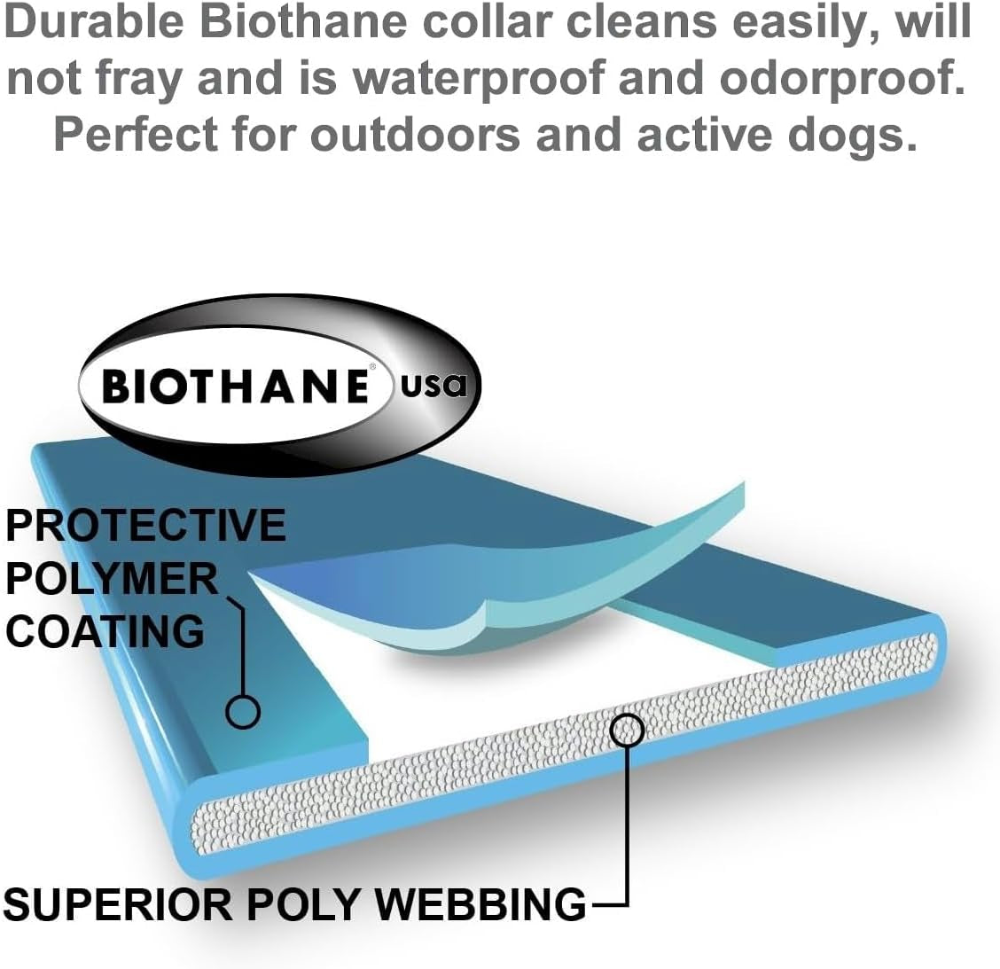 E-Collar Mini  ET-300 Remote Dog Training Collar – 1/2 Mile Range, Waterproof & Rechargeable, 100 Levels + Vibration + Tone + Light, for 1 Dog Small to Medium, Zen