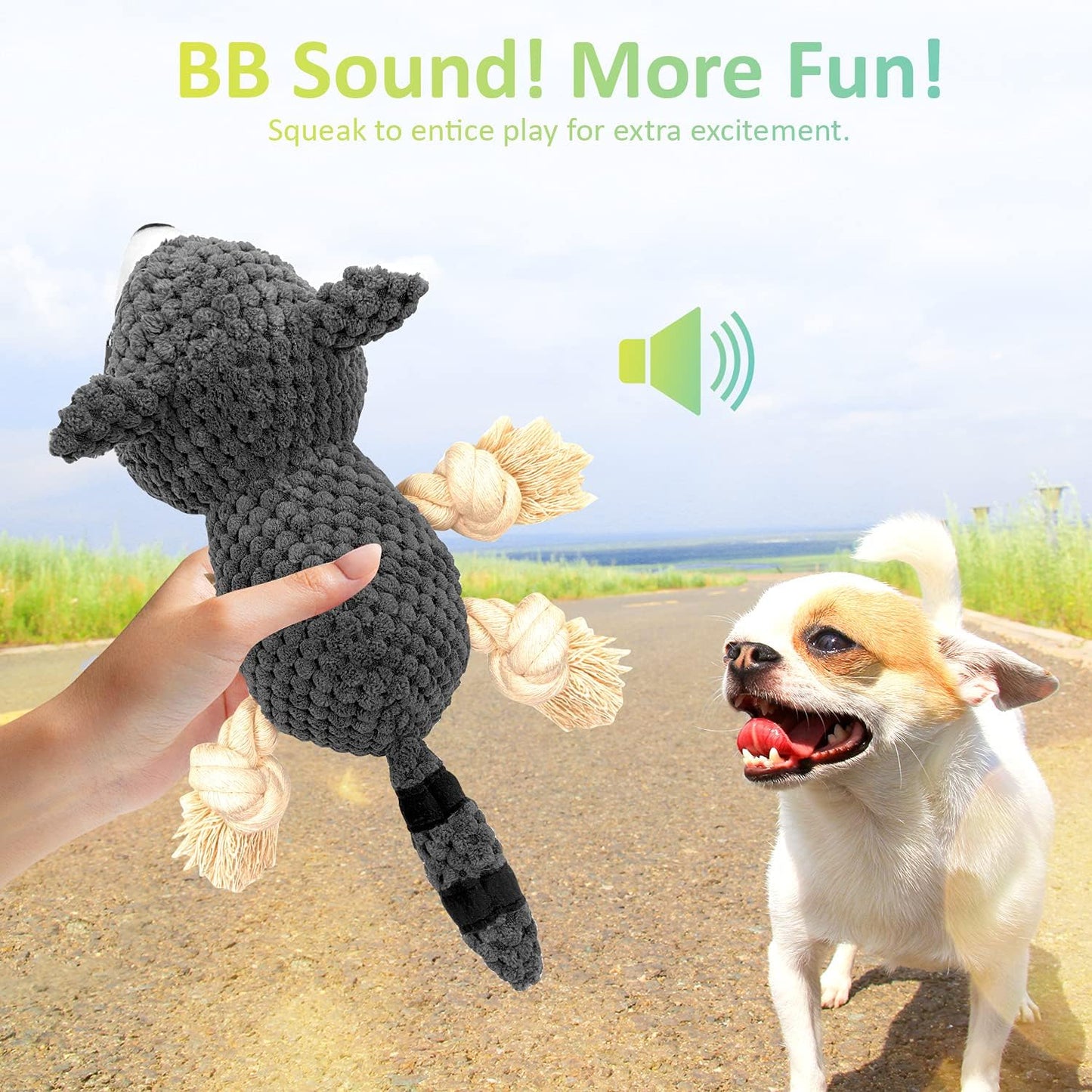 Dog Chew Toys, Stuffed Squeaky Dog Toys for Puppy Teeth Cleaning, Plush Dog Toy for Small and Medium Dogs with Crinkle Paper (Raccoon)