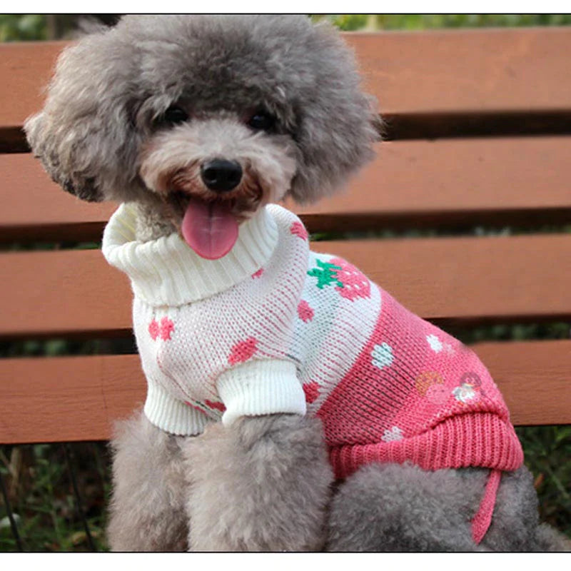 Warm Dog Clothes for Small Medium Dogs Knitted Cat Sweater Pet Clothing for Chihuahua Bulldogs Puppy Costume Coat Winter